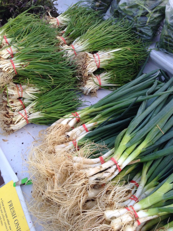 Spring Tribeca Farmers Market Trip | Anthony Leberto